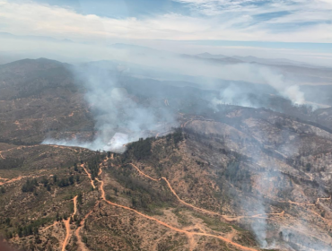 Focos de incendio forestal en Valparaíso y Viña del Mar han consumido más de 500 hectáreas