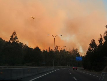 Activos siguen los dos focos de incendio forestal en Valparaíso y Viña del Mar: se mantiene la Alerta Roja