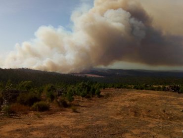 Intendencia declara Alerta Roja para la comuna de Paredones por incendio forestal