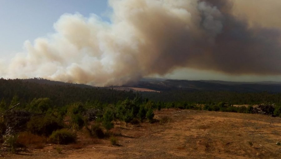 Intendencia declara Alerta Roja para la comuna de Paredones por incendio forestal