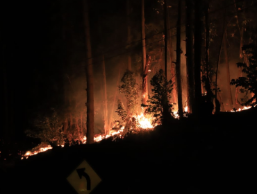 Focos de incendio forestal en Valparaíso y Viña se mantienen activos: han consumido 500 hectáreas