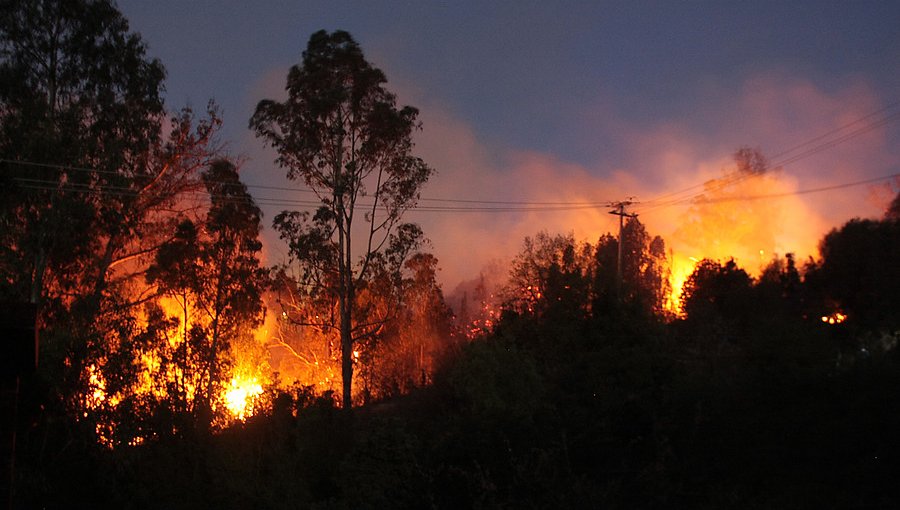 Extienden la Alerta Roja para las comunas de Valparaíso y Viña del Mar por incendio forestal