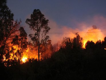 Extienden la Alerta Roja para las comunas de Valparaíso y Viña del Mar por incendio forestal