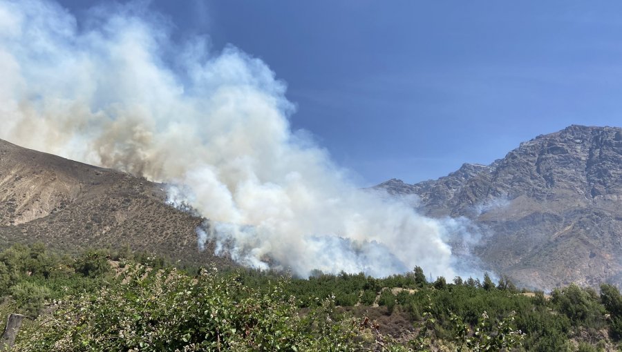 120 personas fueron evacuadas de manera preventiva por incendio forestal en San José de Maipo