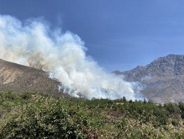 120 personas fueron evacuadas de manera preventiva por incendio forestal en San José de Maipo