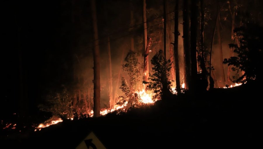 Focos de incendio forestal en Valparaíso y Viña se mantienen activos: han consumido 500 hectáreas