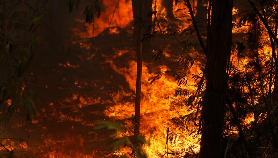 Declaran Alerta Amarilla para la región Metropolitana por simultaneidad de incendios forestales