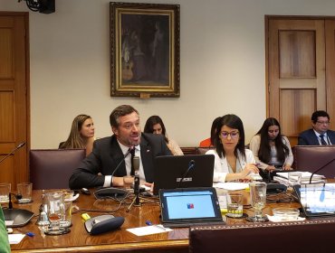 Senado inicia tramitación de proyecto de ingreso mínimo garantizado de $300 mil