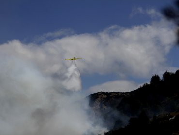 Extienden la Alerta Temprana para la región de O'Higgins por amenaza de incendio forestal