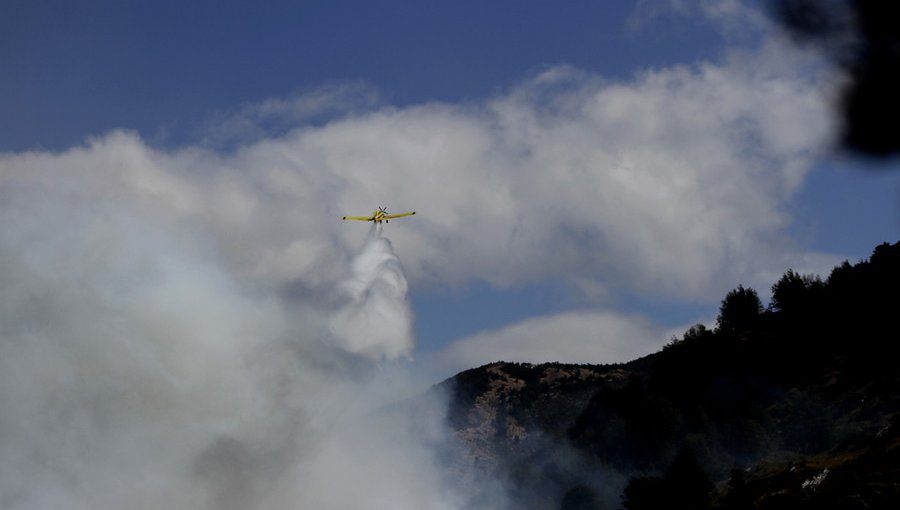 Extienden la Alerta Temprana para la región de O'Higgins por amenaza de incendio forestal