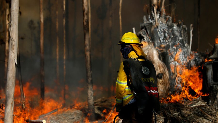 Conaf reporta 64 incendios forestales: el de Placilla es el más significativo, con 500 hectáreas consumidas