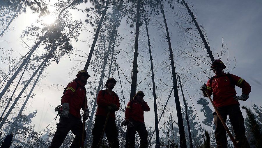 Seis incendios forestales siguen activos en el país: Valparaíso y Viña se mantienen con Alerta Roja