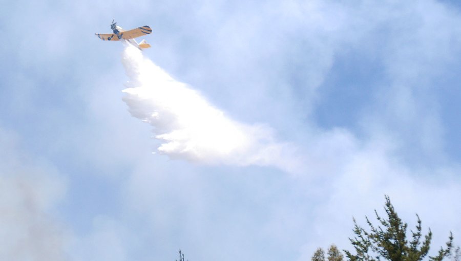 Controlan incendio forestal en Placilla y Alerta Roja pasa a Amarilla en las comunas de Valparaíso y Viña del Mar