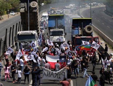 Senado aprueba proyecto que establece una sola infracción por pasar sin TAG en distintos pórticos