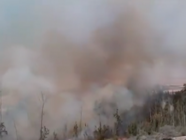 Declaran Alerta Roja para la comuna de Vallenar por incendio forestal