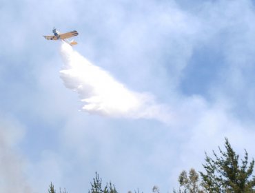 Controlan incendio forestal en Placilla y Alerta Roja pasa a Amarilla en las comunas de Valparaíso y Viña del Mar