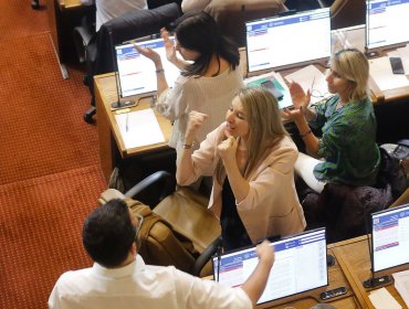 Diputadas celebran aprobación de la paridad de género para el proceso constituyente