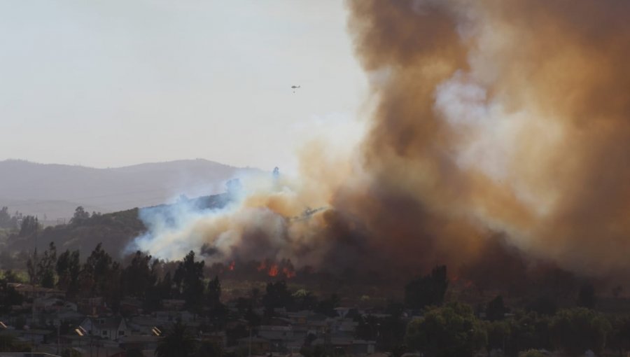 Mantienen la Alerta Roja en la comuna de Quillota por incendio forestal