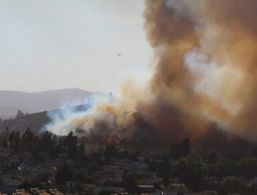 Mantienen la Alerta Roja en la comuna de Quillota por incendio forestal