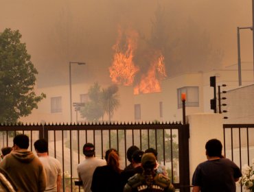 PDI logra detención de dos sujetos que habrían iniciado incendio forestal de noviembre en Curauma