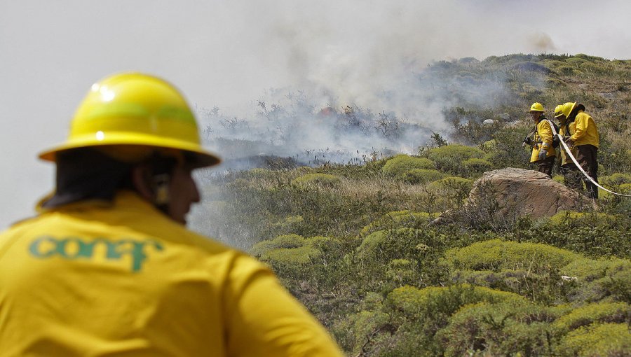 Sólo dos de los nueve incendios forestales en el país se mantienen activos