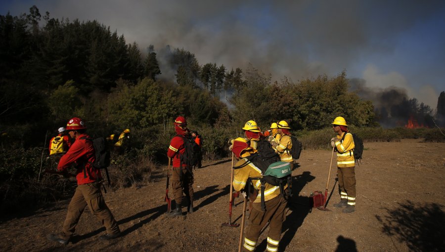 Alerta roja en Olmué por incendio que amenaza viviendas y parque La Campana