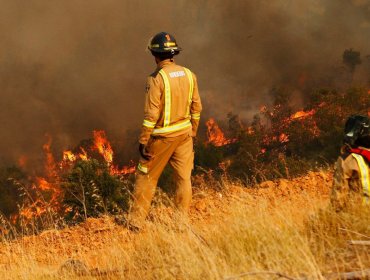 Onemi: Seis de los 39 incendios forestales en el país se encuentran activos