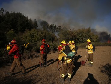 Alerta roja en Olmué por incendio que amenaza viviendas y parque La Campana