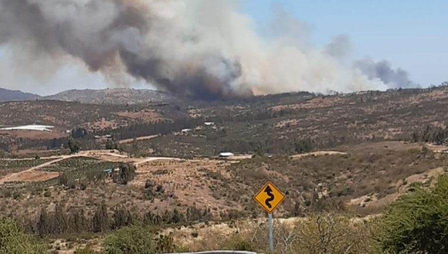 Alerta Roja en San Pedro por incendio forestal cercano a sectores habitados