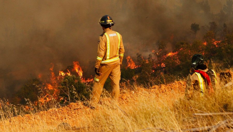 Onemi: Seis de los 39 incendios forestales en el país se encuentran activos