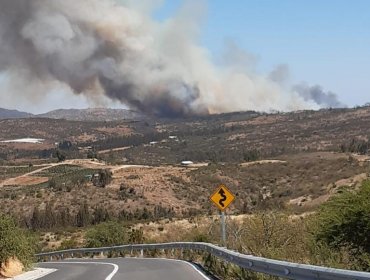 Alerta Roja en San Pedro por incendio forestal cercano a sectores habitados