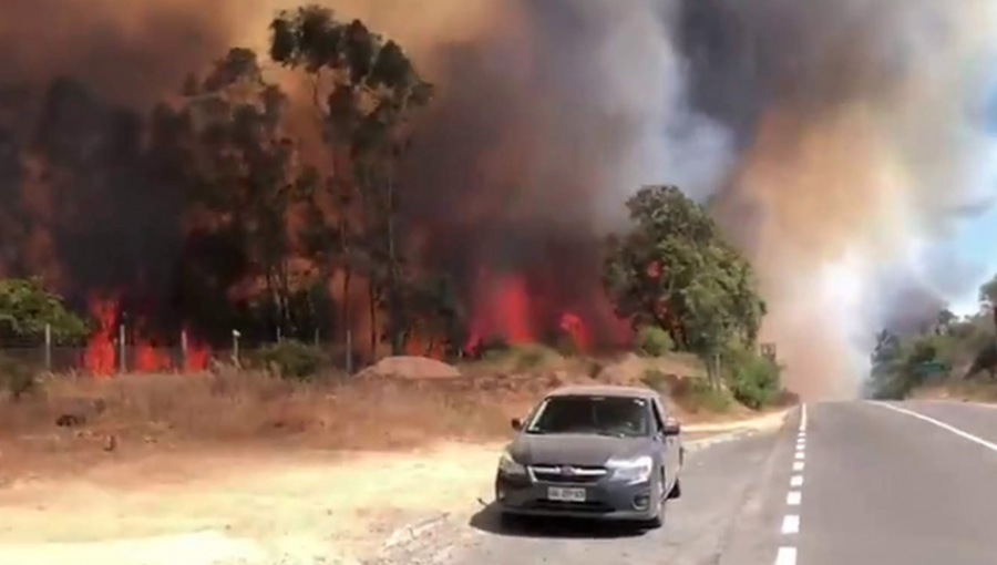 Incendio forestal "Alto Nihue" fue controlado y declaran Alerta Amarilla en la comuna de San Pedro