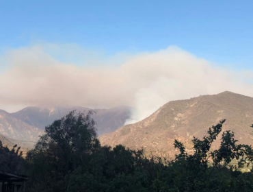 Ocho incendios forestales se encuentran activos en el país: 12 fueron controlados