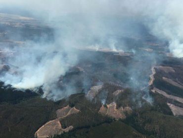 Sólo los incendios forestales en Olmué y Lumaco se encuentran activos en el país