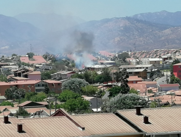 Explosión de grúa horquilla genera foco de incendio forestal en Belloto 2000: estruendo se escuchó en casi todo Quilpué