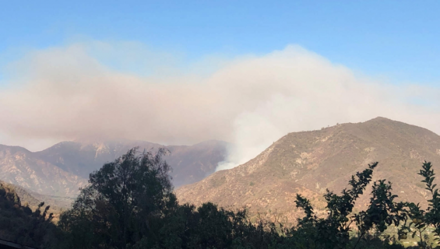 Ocho incendios forestales se encuentran activos en el país: 12 fueron controlados