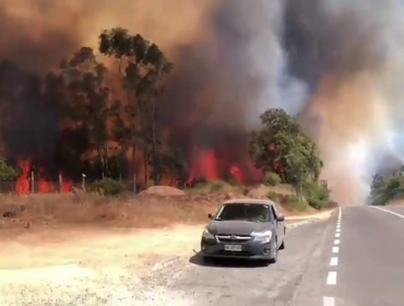 Incendio forestal "Alto Nihue" fue controlado y declaran Alerta Amarilla en la comuna de San Pedro