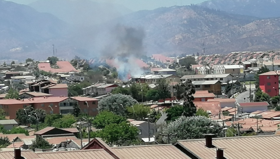 Explosión de grúa horquilla genera foco de incendio forestal en Belloto 2000: estruendo se escuchó en casi todo Quilpué