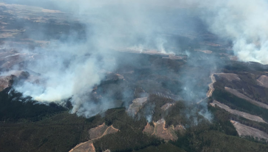 Sólo los incendios forestales en Olmué y Lumaco se encuentran activos en el país