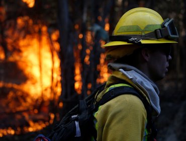 Cinco de los 21 incendios forestales que se registran en Chile se mantienen activos