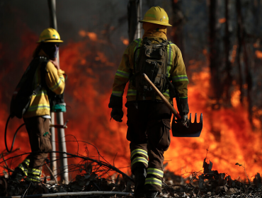 Condenan al fisco a pagar $1.600 millones por muerte de 3 brigadistas de Conaf