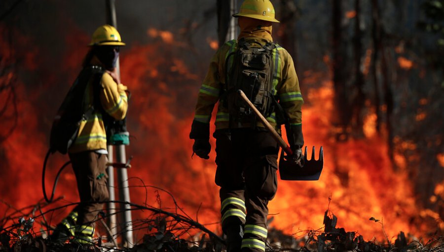 Condenan al fisco a pagar $1.600 millones por muerte de 3 brigadistas de Conaf