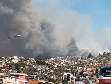 Chilquinta confirma que desconectó subestaciones de energía por incendio forestal en Valparaíso