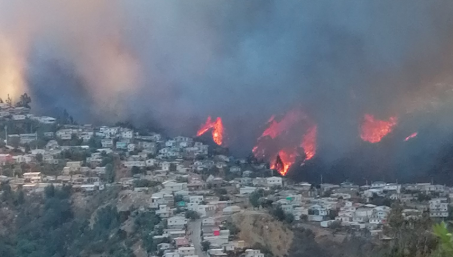 Incendio forestal descontrolado ha consumido al menos 60 viviendas en el cerro Rocuant