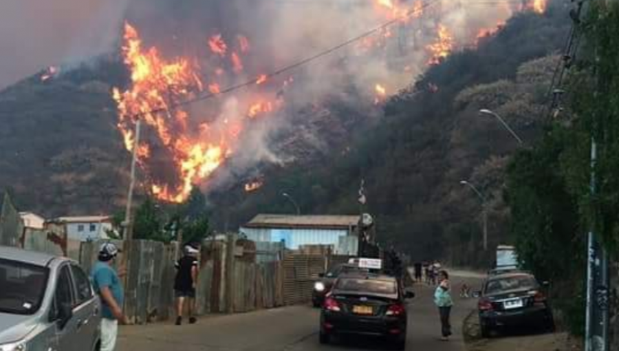 Intendente de Valparaíso cifra en más de 80 las viviendas afectadas por incendio descontrolado en Rocuant y San Roque