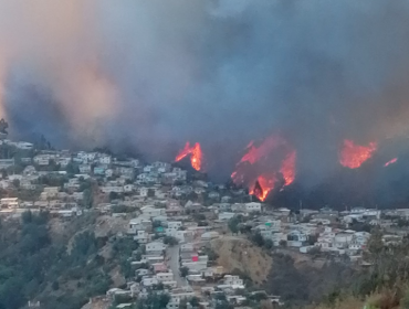 Incendio forestal descontrolado ha consumido al menos 60 viviendas en el cerro Rocuant