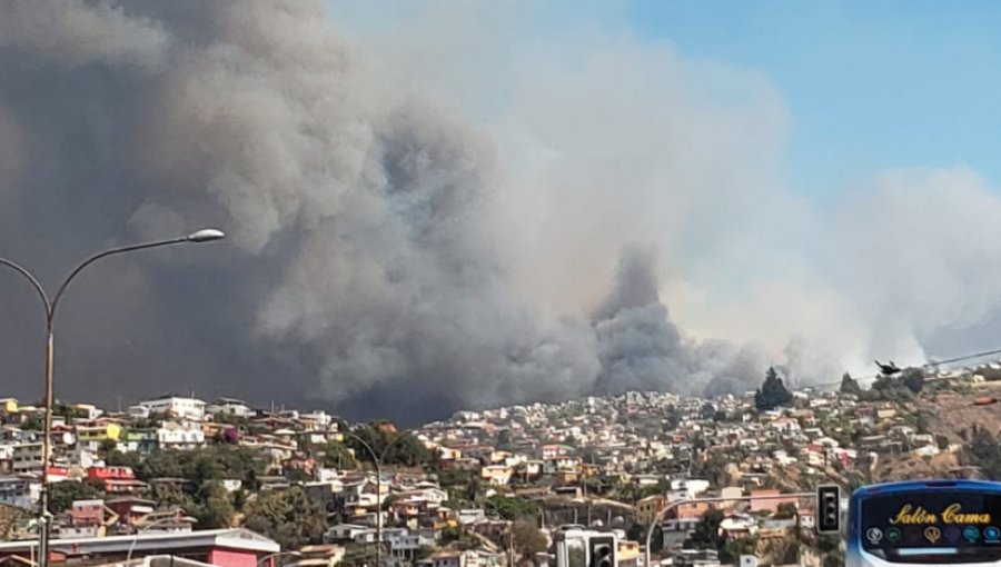 Chilquinta confirma que desconectó subestaciones de energía por incendio forestal en Valparaíso