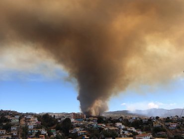 Incendio de grandes proporciones afecta a zona residencial del cerro Rocuant de Valparaíso