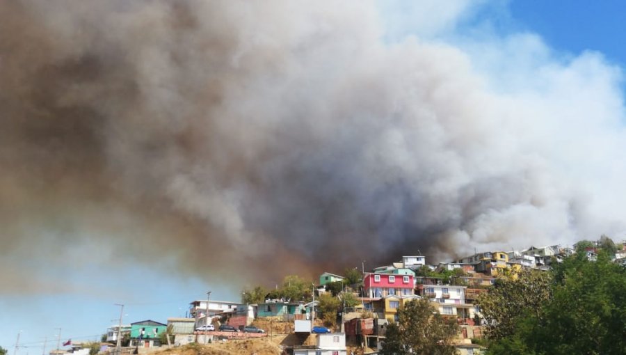 Declaran Alerta Roja para la comuna de Valparaíso por incendio forestal cercano a zona poblada