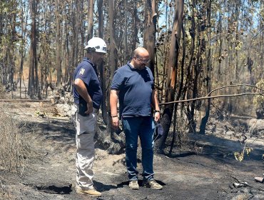 Fiscalía reconoce “hipótesis fuerte" acerca de la intencionalidad de incendios en Valparaíso